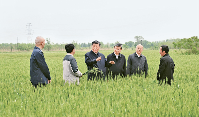 2023年5月11日至12日，中共中央總書記、國家主席、中央軍委主席習近平在河北考察，并主持召開深入推進京津冀協(xié)同發(fā)展座談會。這是11日上午，習近平在滄州市黃驊市舊城鎮(zhèn)仙莊片區(qū)旱堿地麥田考察時，同種植戶、農(nóng)技專家親切交流。 新華社記者 李學仁/攝