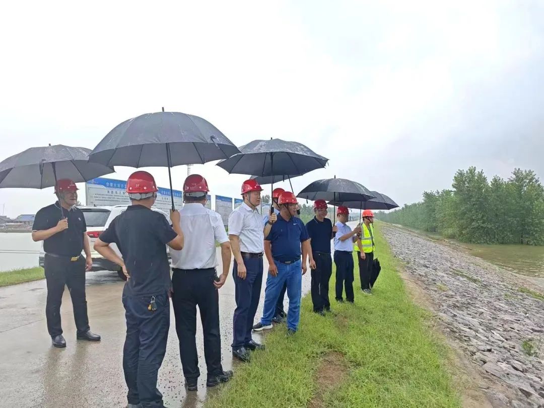 1721262719297675.jpg 640.jpg